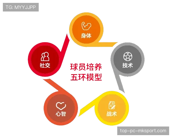 青训课程教案标准化：内容与评分量表发布，青训大纲教材